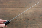 Shibata Takayuki Koutetsu Super Bleu Gyuto 210mm Manipuler Jarrah - japanny-FR